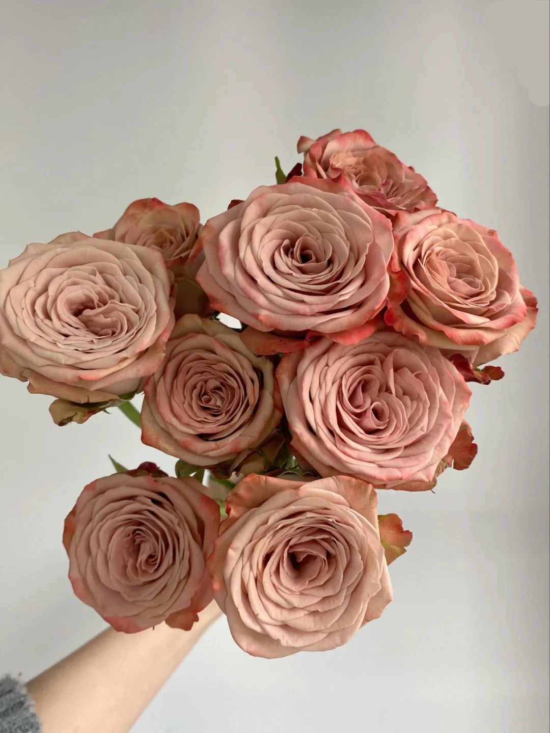 男同事说 你买的花怎么看起来脏兮兮的_1_爱买花的精神病_来自小红书网页版
