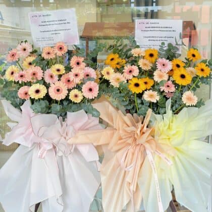 Gerbera Opening Stand
