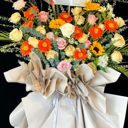 Sunflower Yellow Opening Stand