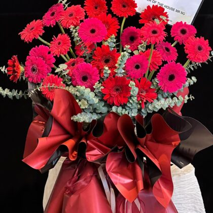 Gerbera Red Pink Opening Stand