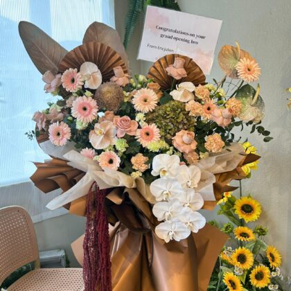 MOONDUST Opening Stand