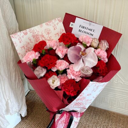 Carnation red & pink